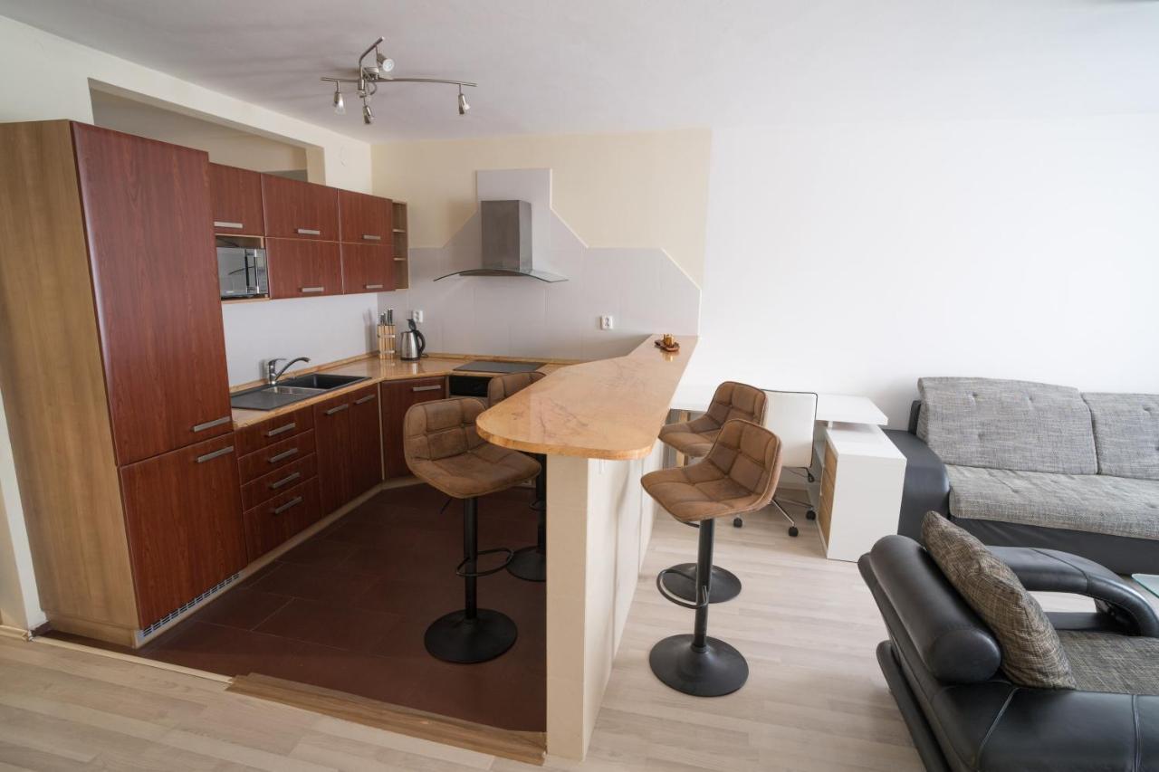 Apartment Vodni With Parking Brno Exterior photo